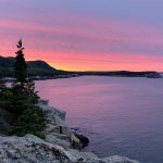 acadia national park with kids